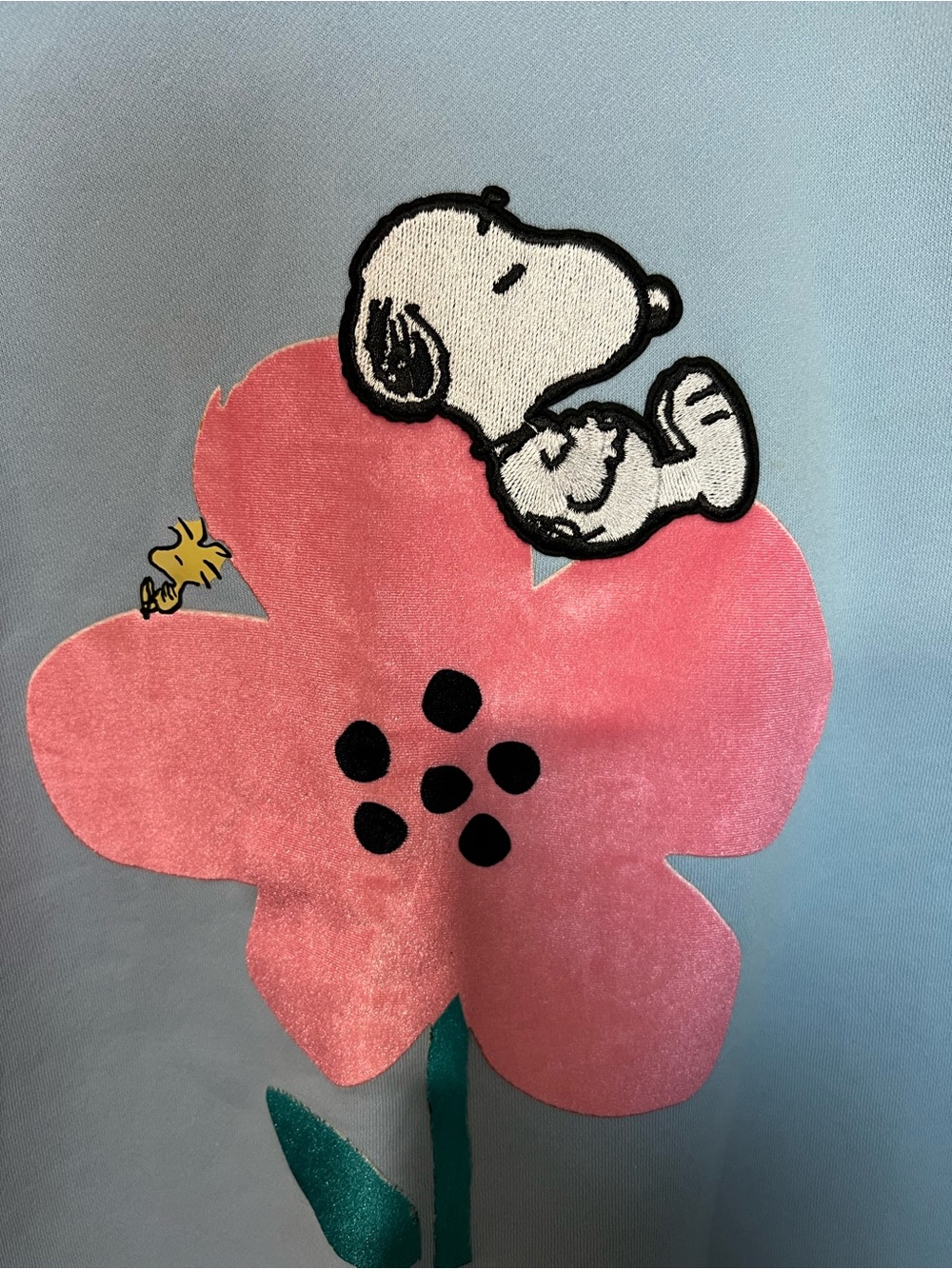 Peanuts Freeze Max Light Blue Crewneck with Pink Flower & Snoopy Graphic - Picture 12 of 15